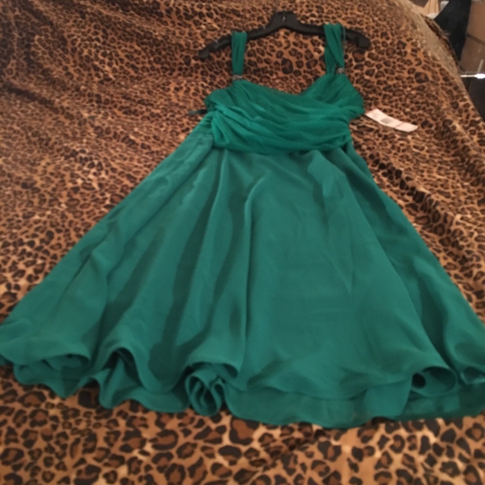 Evan Picone evening dress with powder accents
